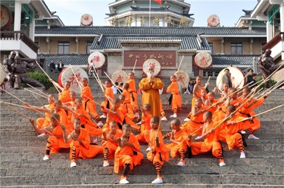 第十二屆中國鄭州國際少林武術節.jpg 第十二屆中國鄭州國際少林武術節.jpg