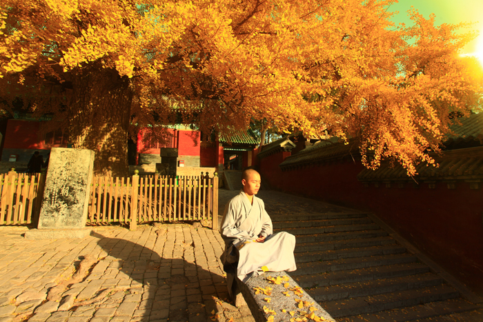 （登封）第十一屆少林武術(shù)節(jié)10月16日至20日舉行，今年亮點(diǎn)是……